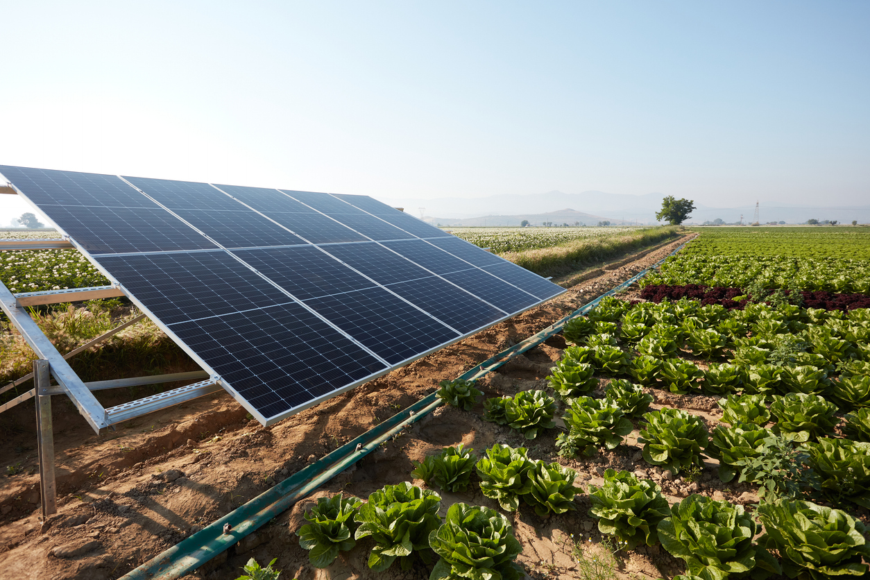 Energia solar no agronegócio: veja as vantagens para o produtor rural